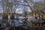 Seenlandschaft