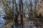Seenlandschaft