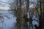 Seenlandschaft