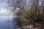 Seenlandschaft