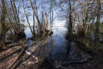 Seenlandschaft