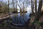 Seenlandschaft
