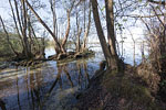 Seenlandschaft