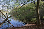 Seenlandschaft