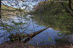Seenlandschaft