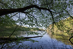 Seenlandschaft