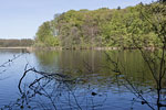 Seenlandschaft