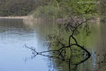 Seenlandschaft
