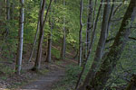 Seenlandschaft