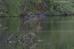 Seenlandschaft