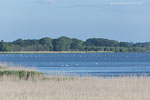 Seenlandschaft