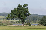 Seenlandschaft