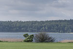 Seenlandschaft