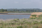 Seenlandschaft