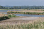 Seenlandschaft