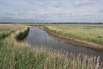 Seenlandschaft