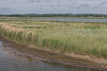 Seenlandschaft