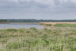 Seenlandschaft