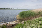 Seenlandschaft