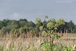 Seenlandschaft