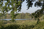 Seenlandschaft