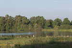 Seenlandschaft
