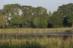 Seenlandschaft