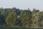Seenlandschaft