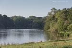 Seenlandschaft