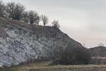 D�nemark - Stevns Klint