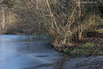 Winterimpressionen