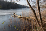Winterimpressionen