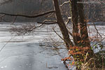 Winterimpressionen