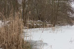 Winterimpressionen