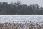 Winterimpressionen