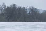 Winterimpressionen