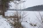 Winterimpressionen